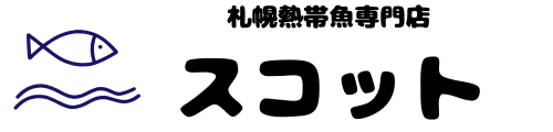 札幌・熱帯魚専門店　スコット